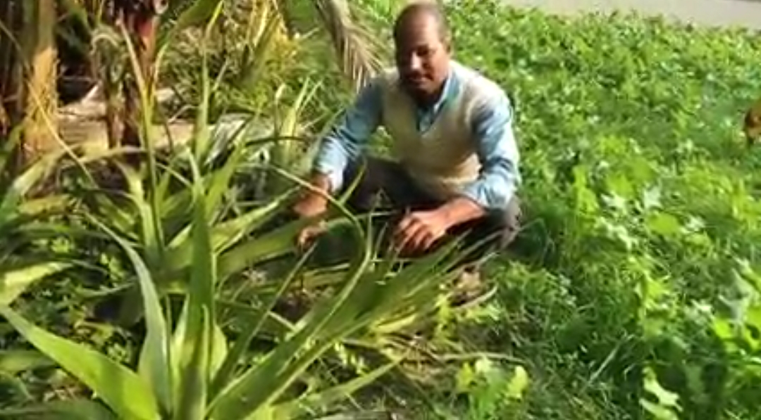 देखो, समझो, करो...